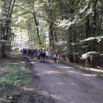 Waldjugendspiele 3